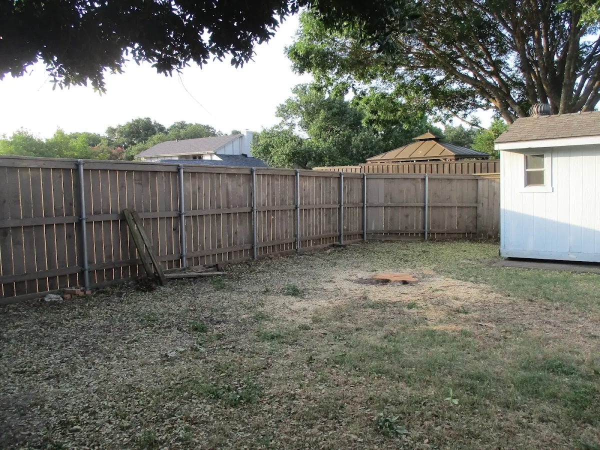 Cleared yard after professional tree removal in Harleyville